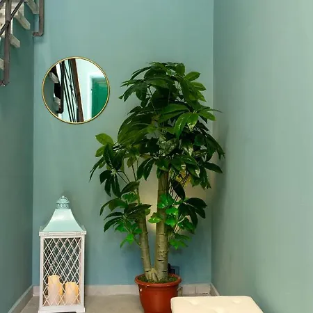 Apartment Fortino House